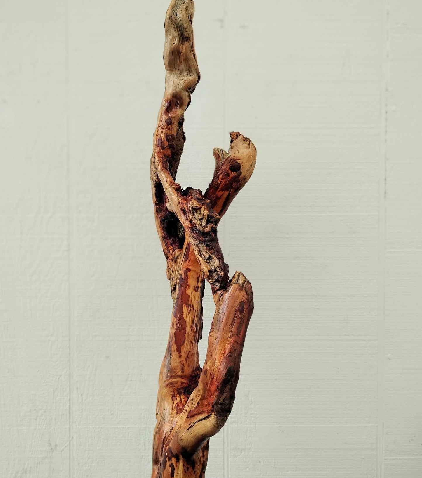 Driftwood Decor Table Sculpture Rustic Abstract Circle Modern Driftwood Decor