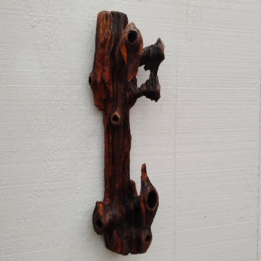 A dark driftwood branch wall sculpture that measures seventeen by five inches that has been varnished and has natural holes due to natural wear from sun, sand and surf. 
