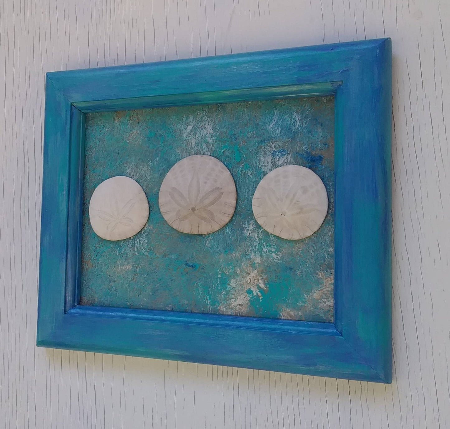 Beach Bathroom Sand Dollars In Blue 8X10 Frame Real Oregon Sand Dollars