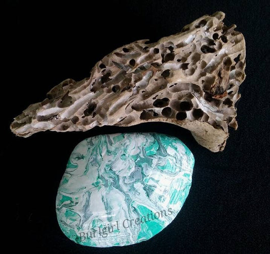 Large Green and White Shell