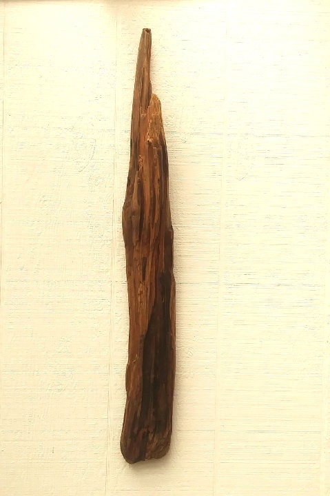 Wall Hanging Driftwood Branch