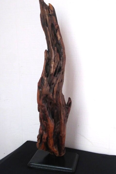 Wooden Sculpture Natural Driftwood Decor