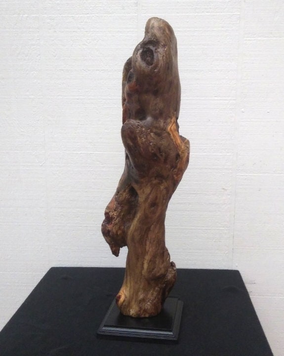 Driftwood Art Mantel Sculpture